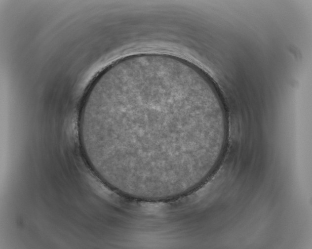 X0000113321498200910051114