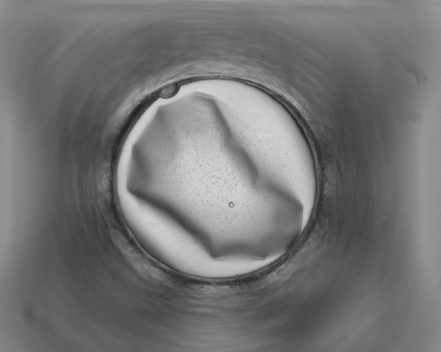 X0000113321499200910051114