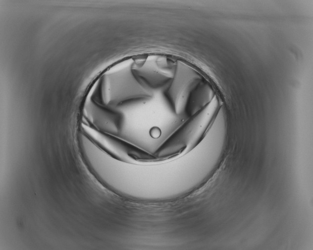 X0000113321500200910051114