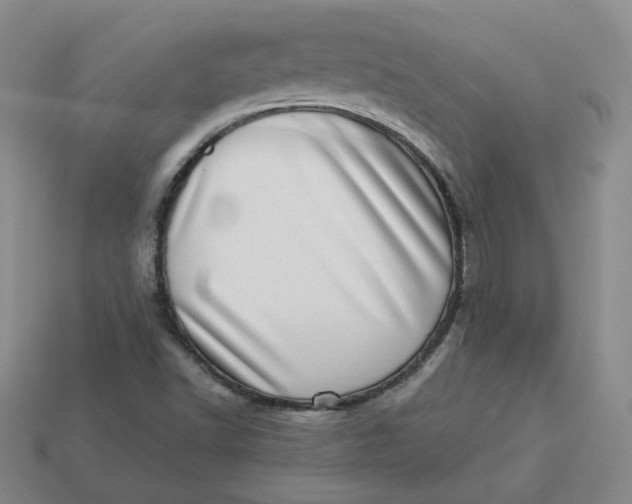 X0000113321502200910051114