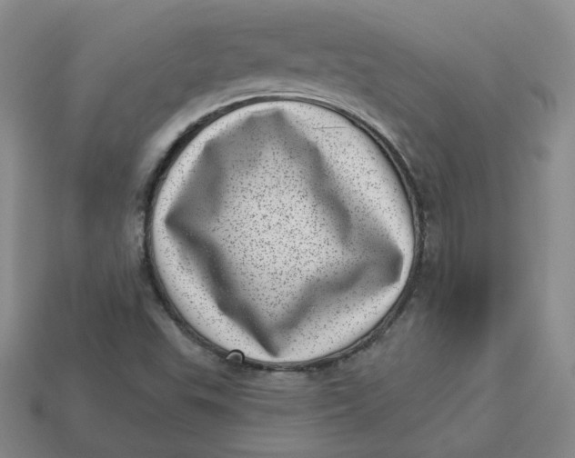 X0000113321503200910051114