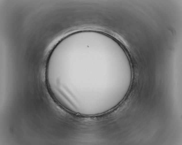 X0000113321504200910051114