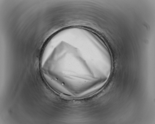 X0000113321505200910051114