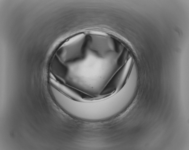 X0000113321506200910051114