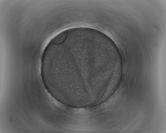 X0000113321508200910051114