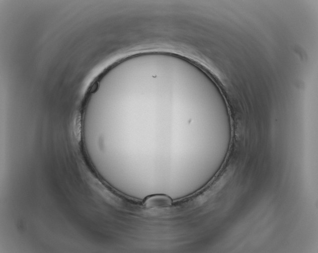 X0000113321510200910051114