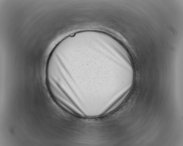 X0000113321512200910051114