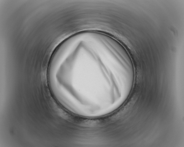 X0000113321513200910051114