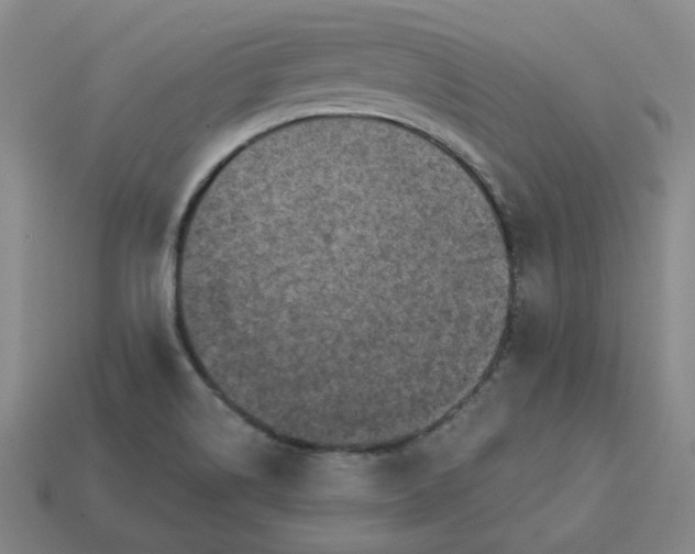 X0000113321514200910051114