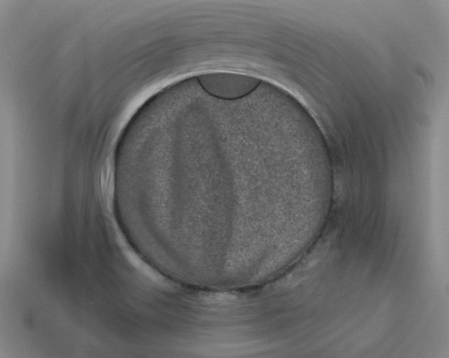 X0000113321515200910051114