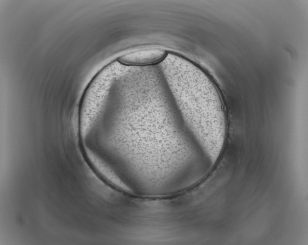 X0000113321516200910051114