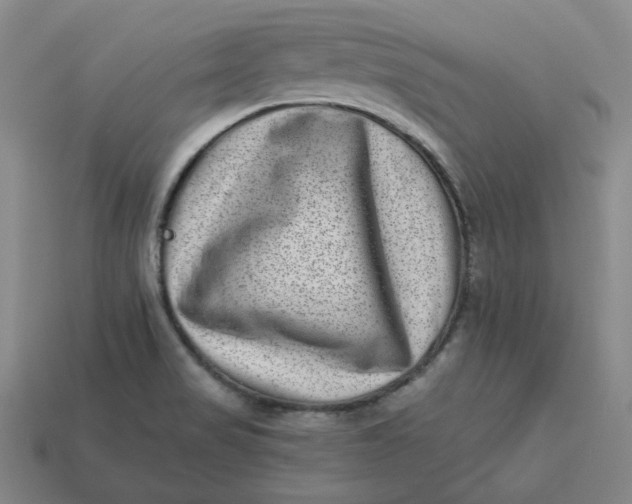 X0000113321517200910051114