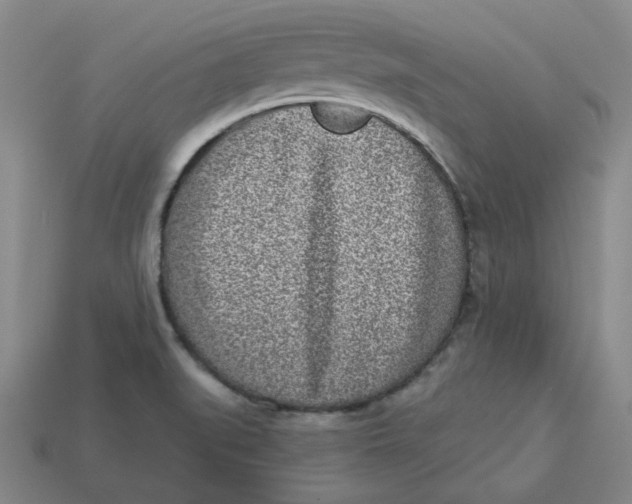 X0000113321519200910051114