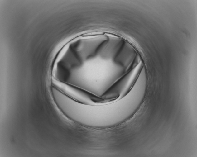 X0000113321520200910051114