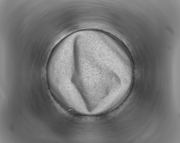 X0000113321521200910051114