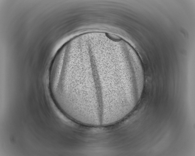 X0000113321523200910051114