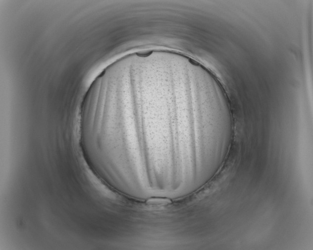 X0000113321524200910051114