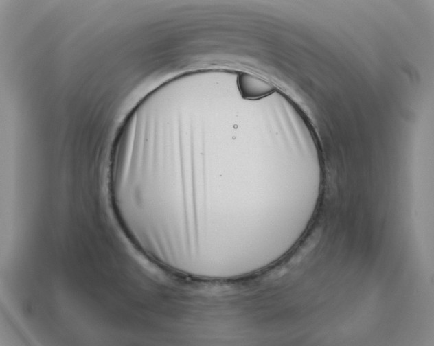 X0000113321525200910051114