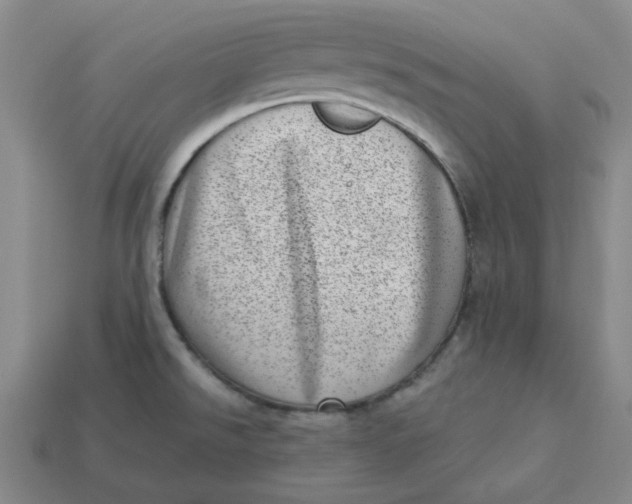 X0000113321526200910051114