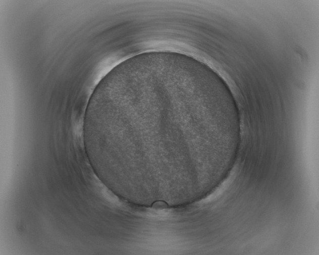 X0000113321529200910051114