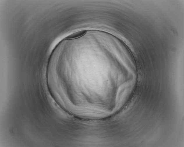 X0000113321530200910051114