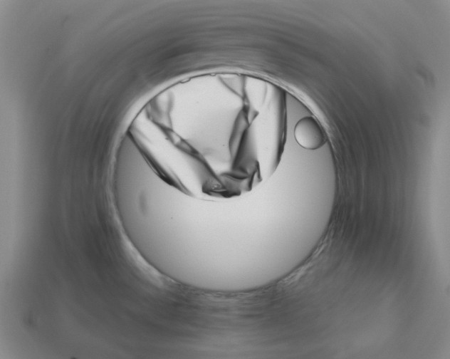 X0000113321532200910051114