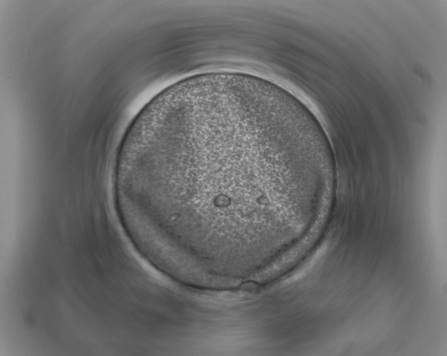 X0000113321533200910051115