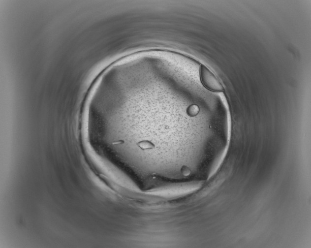 X0000113321535200910051115