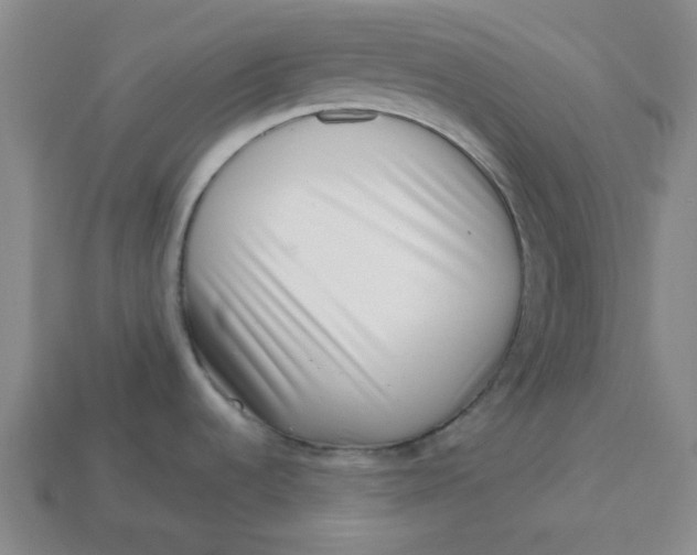 X0000113321536200910051115