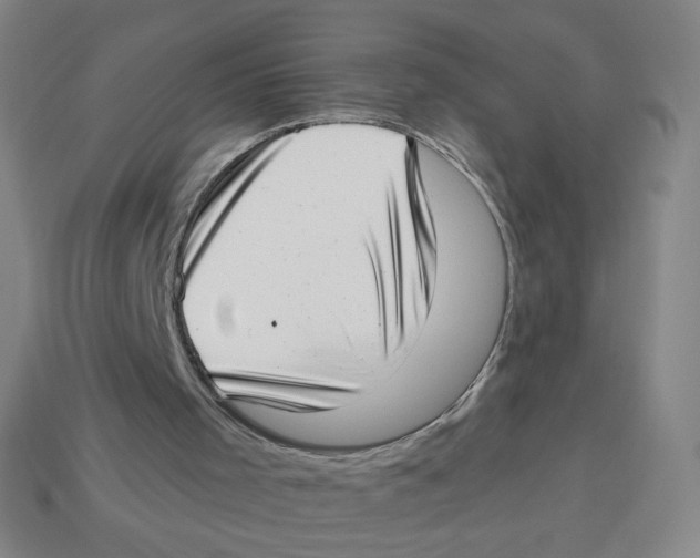 X0000113320001200910131137