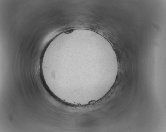 X0000113320005200910131137