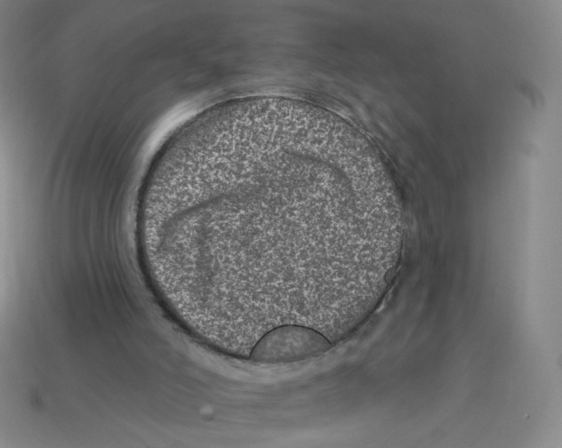 X0000113320006200910131137