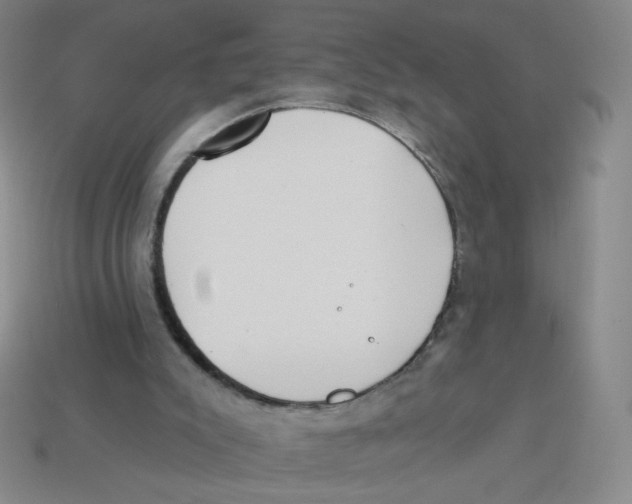 X0000113320007200910131137