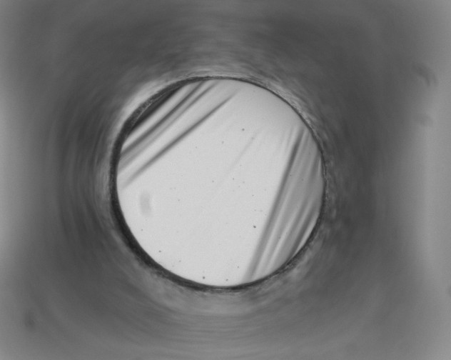 X0000113320008200910131137