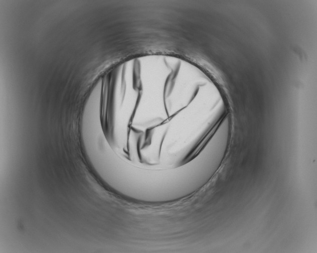 X0000113320009200910131137