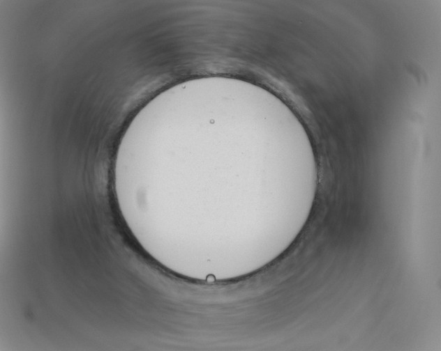 X0000113320010200910131137