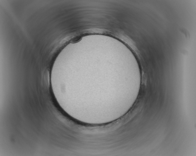 X0000113320013200910131137