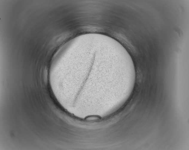 X0000113320014200910131137