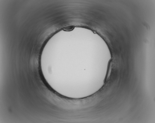 X0000113320015200910131137