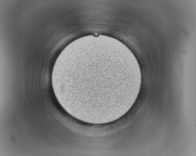 X0000113320016200910131137