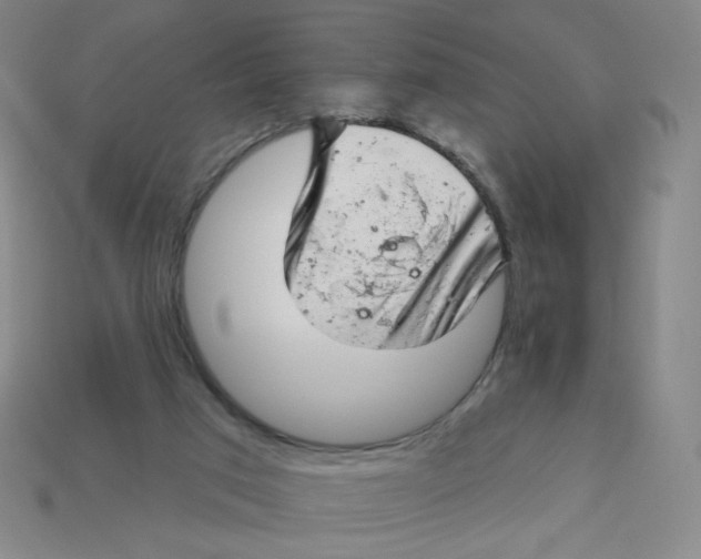 X0000113320017200910131137