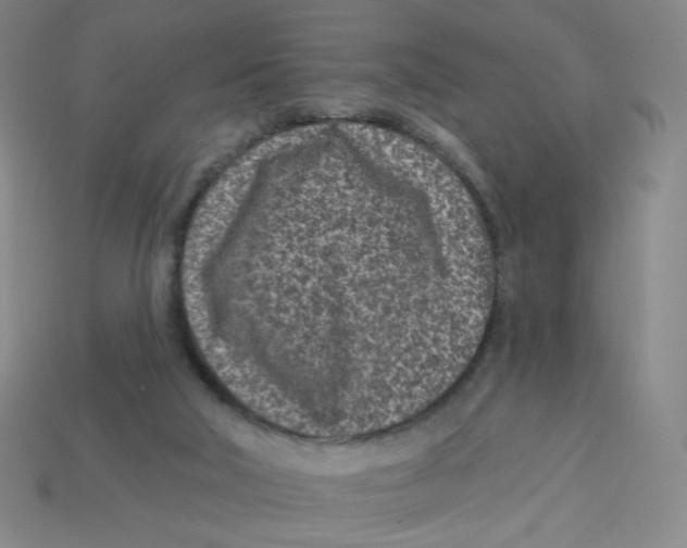 X0000113320018200910131137