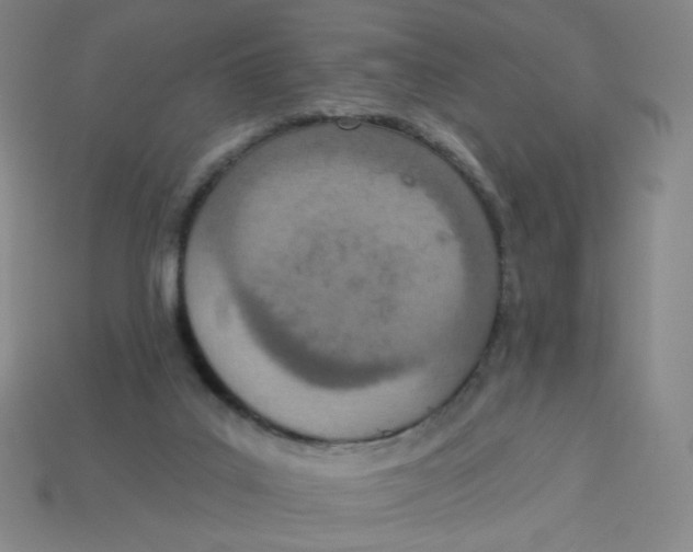 X0000113320019200910131137