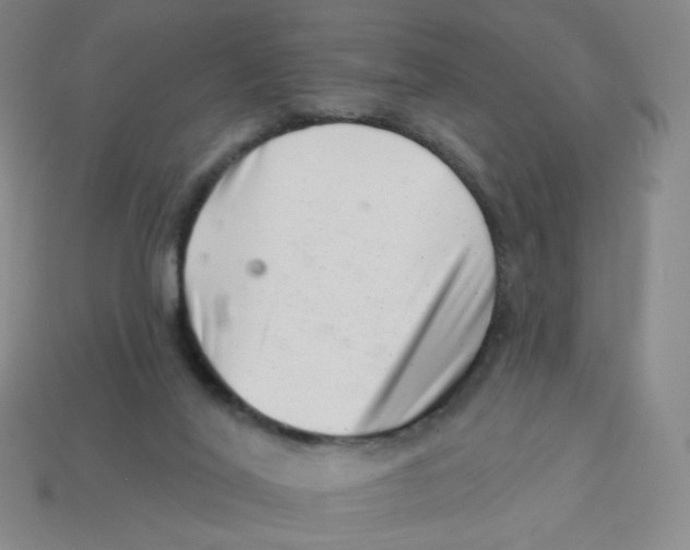 X0000113320020200910131137