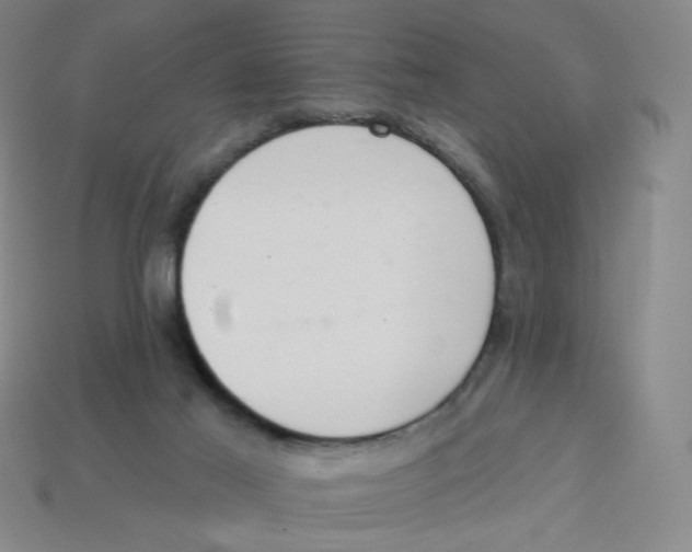 X0000113320021200910131137