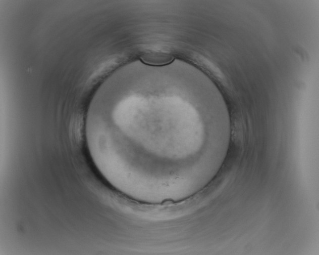 X0000113320023200910131137