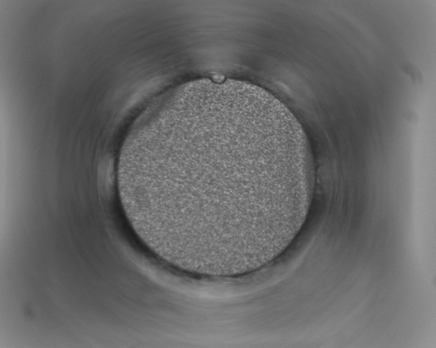 X0000113320024200910131137