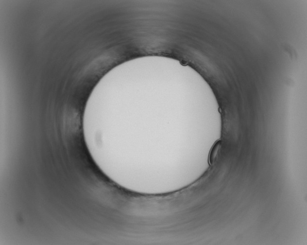 X0000113320025200910131137