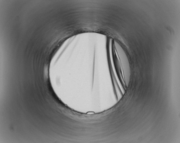 X0000113320027200910131137