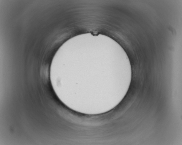 X0000113320028200910131137